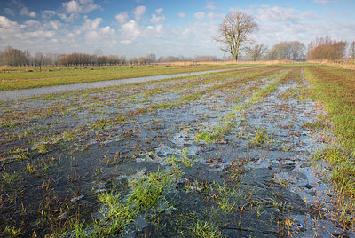 BUITEN BEELD Foto: 303321
