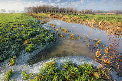 BUITEN BEELD Foto: 303322