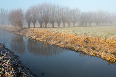 BUITEN BEELD Foto: 303328