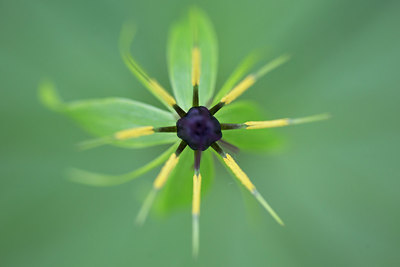 BUITEN BEELD Foto: 303357