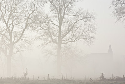 BUITEN BEELD Foto: 303379