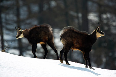 BUITEN BEELD Foto: 303394