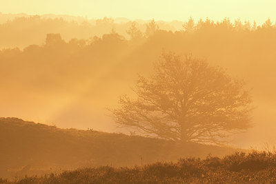 BUITEN BEELD Foto: 303474