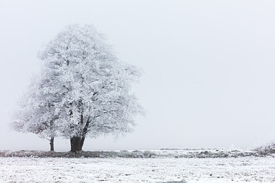 BUITEN BEELD Foto: 303585