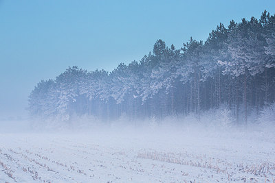 BUITEN BEELD Foto: 303591