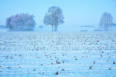 BUITEN BEELD Foto: 303594