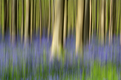 BUITEN BEELD Foto: 303613