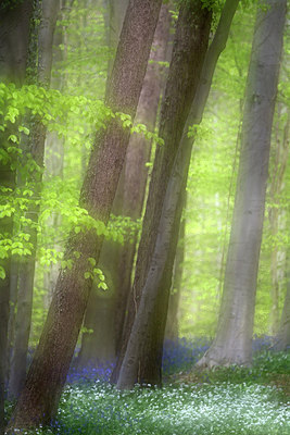 BUITEN BEELD Foto: 303614