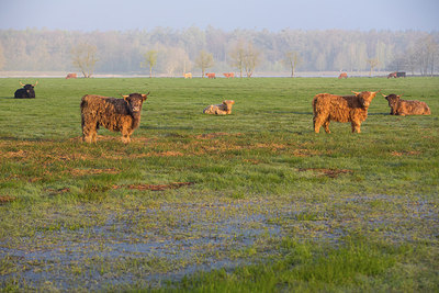 BUITEN BEELD Foto: 303693