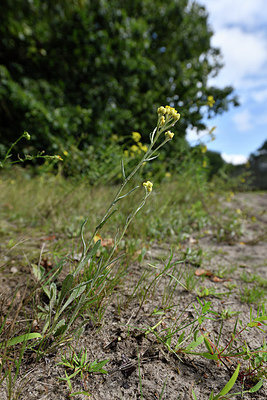 BUITEN BEELD Foto: 303711