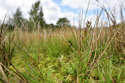 BUITEN BEELD Foto: 303715