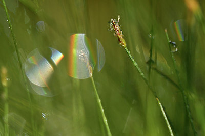 BUITEN BEELD Foto: 303744