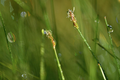 BUITEN BEELD Foto: 303745