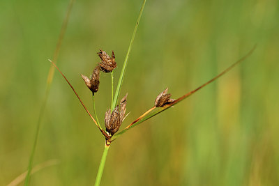 BUITEN BEELD Foto: 303748