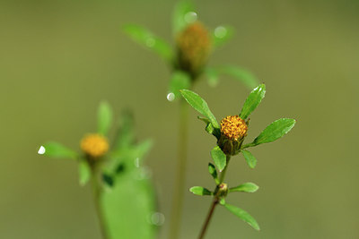 BUITEN BEELD Foto: 303753