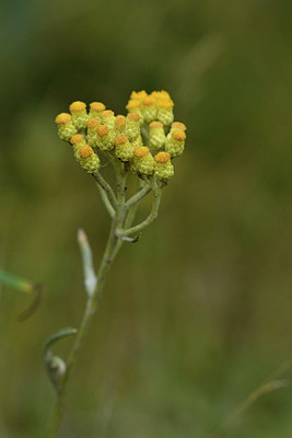 BUITEN BEELD Foto: 303770