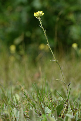 BUITEN BEELD Foto: 303771