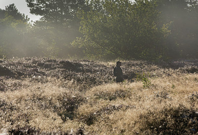 BUITEN BEELD Foto: 303834