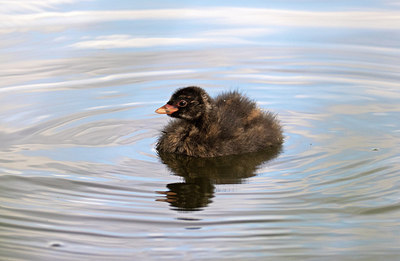 BUITEN BEELD Foto: 303964