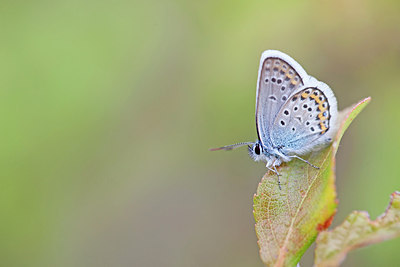BUITEN BEELD Foto: 304018