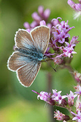 BUITEN BEELD Foto: 304076