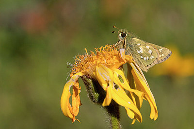 BUITEN BEELD Foto: 304107