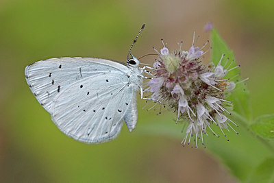 BUITEN BEELD Foto: 304115