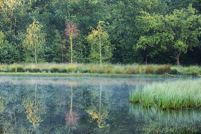 BUITEN BEELD Foto: 304177