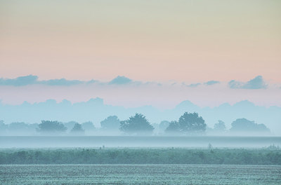 BUITEN BEELD Foto: 304180