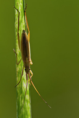 BUITEN BEELD Foto: 304190