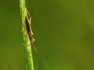 BUITEN BEELD Foto: 304191