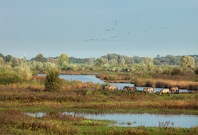 BUITEN BEELD Foto: 304228