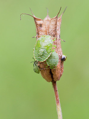 BUITEN BEELD Foto: 304247