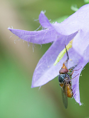 BUITEN BEELD Foto: 304271