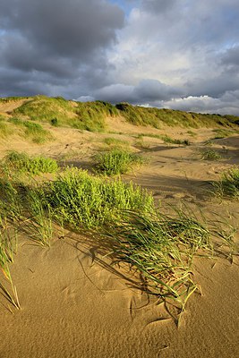 BUITEN BEELD Foto: 304286
