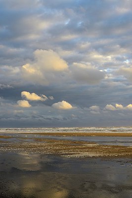 BUITEN BEELD Foto: 304288