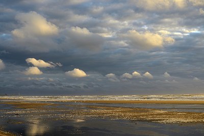 BUITEN BEELD Foto: 304289