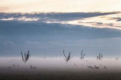 BUITEN BEELD Foto: 304321