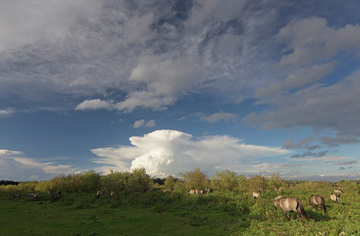BUITEN BEELD Foto: 304329