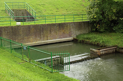 BUITEN BEELD Foto: 304351
