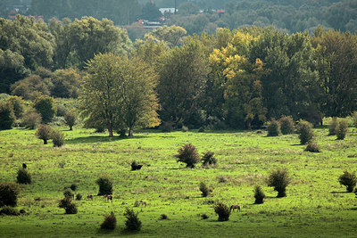 BUITEN BEELD Foto: 304357