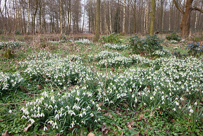 BUITEN BEELD Foto: 304367