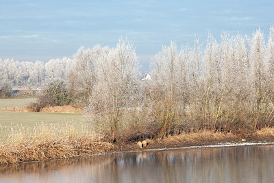 BUITEN BEELD Foto: 304413