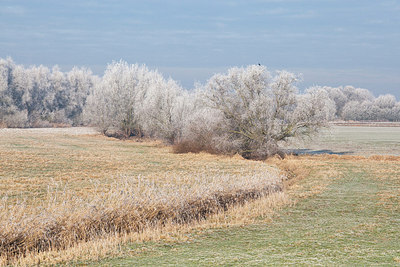 BUITEN BEELD Foto: 304417