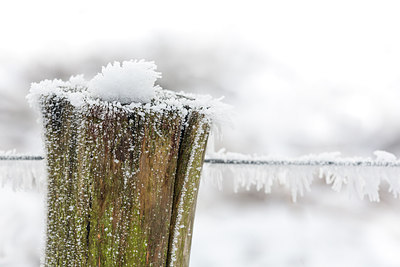 BUITEN BEELD Foto: 304454