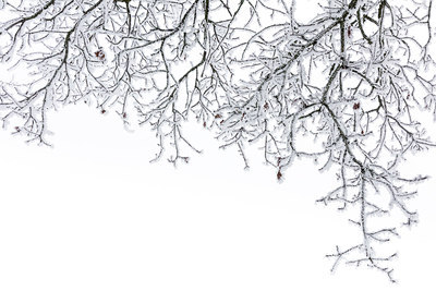 BUITEN BEELD Foto: 304456