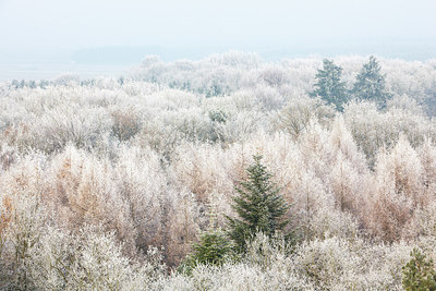 BUITEN BEELD Foto: 304475