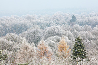 BUITEN BEELD Foto: 304477