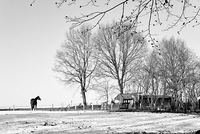 BUITEN BEELD Foto: 304483