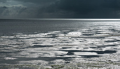 BUITEN BEELD Foto: 304613
